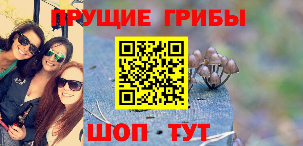 Псилоцибиновые грибы мицелий Осинники